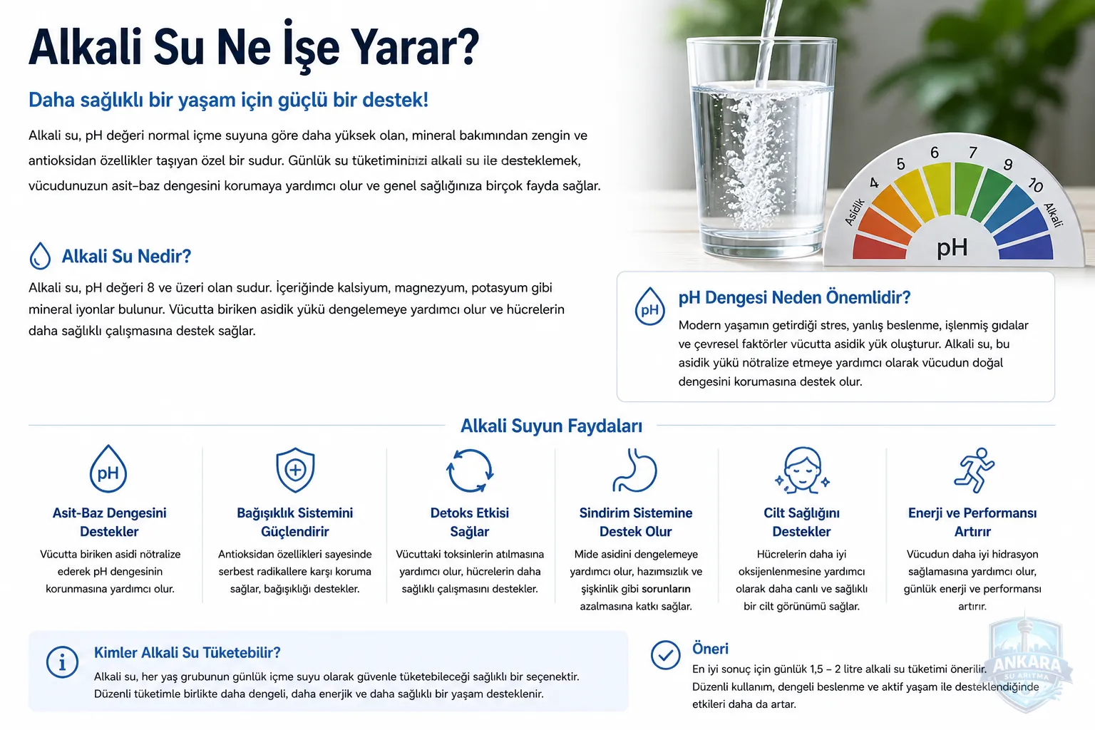Alkali Su Ne İşe Yarar?